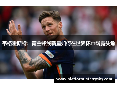 韦格霍斯特：荷兰锋线新星如何在世界杯中崭露头角