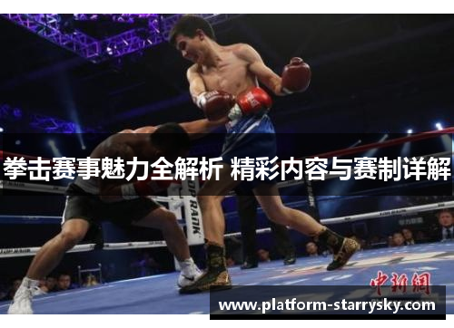 拳击赛事魅力全解析 精彩内容与赛制详解