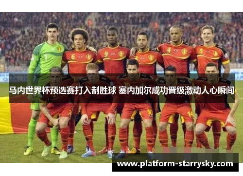 马内世界杯预选赛打入制胜球 塞内加尔成功晋级激动人心瞬间