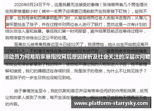 运动员为何易陷家暴指控背后原因探析及社会关注的深层次问题
